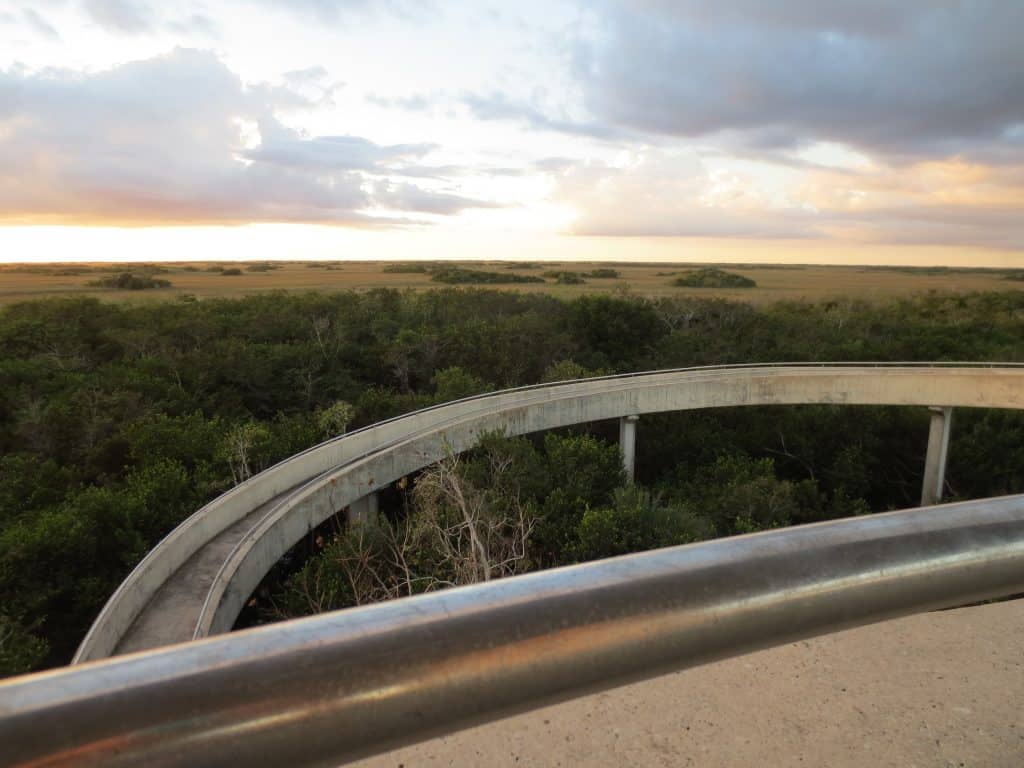This is very hard to describe. Basically just a concrete biking bridge looping down with a wide expanse of grassy swampland. Oh and a sunset! There's a sunset in the background! 