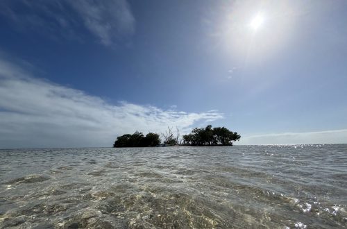 Clear gorgeous water with small island.
