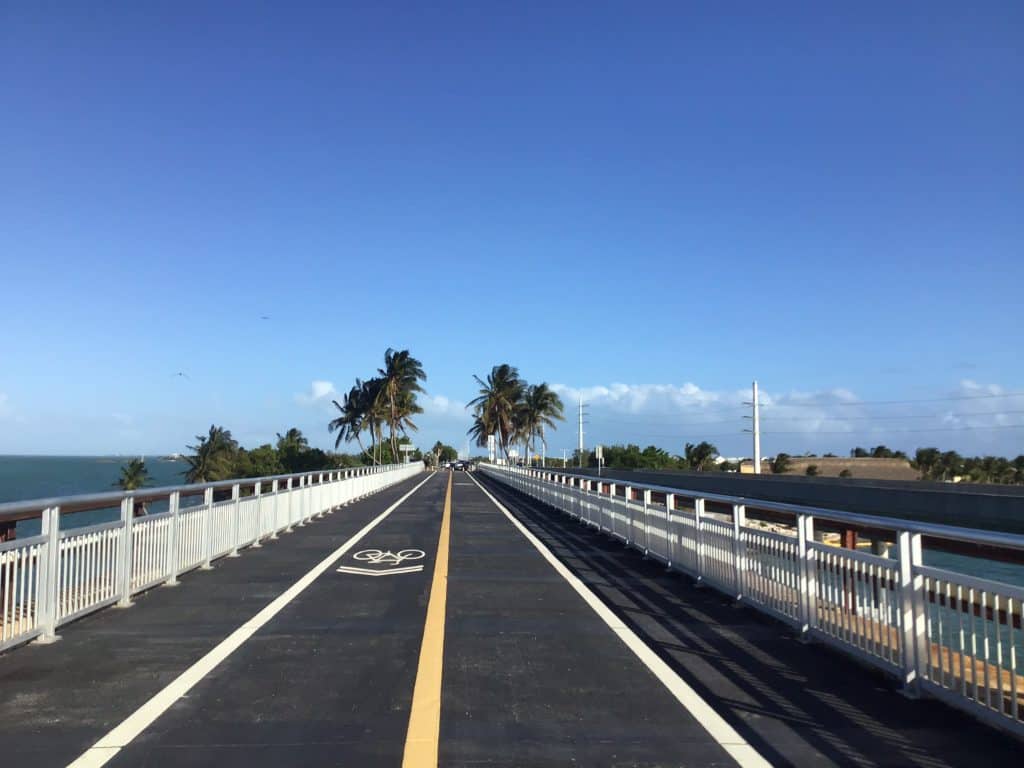 Bridge with palm trees
